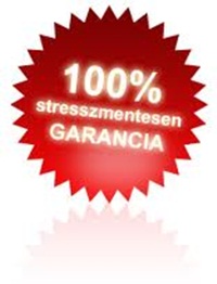 internetes pénzkeresés